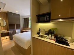 Mount Elizabeth Link (D9), Condominium #606374741